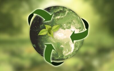 Sustainability in the Bed Sector: Editorial in Interiors Monthly’s 2025 April Issue